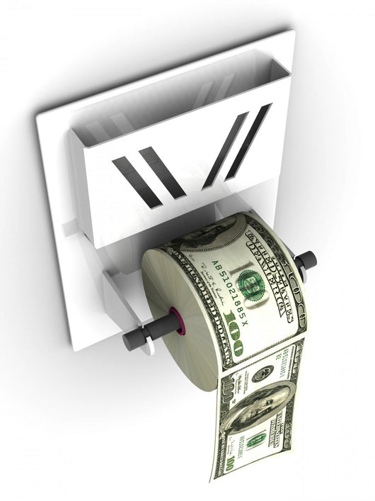 Dollar in the toilet paper Wall Decal