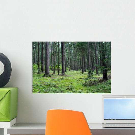 Forest 01 Wall Mural