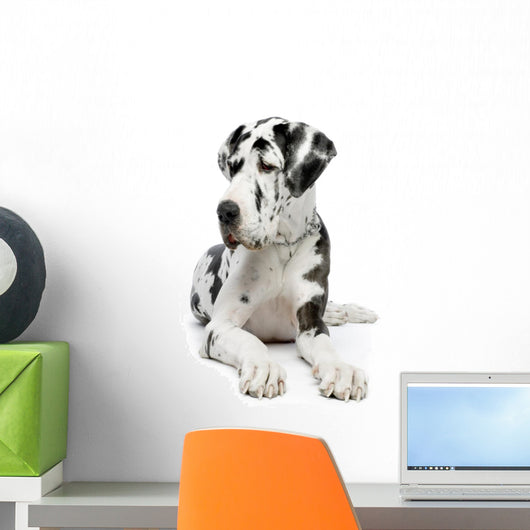 great dane Wall Decal