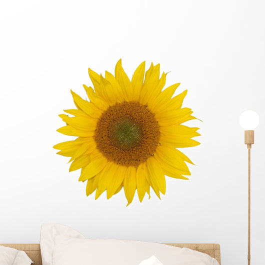 Sunflower Wall Mural