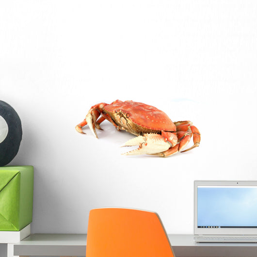 dungeness crab Wall Decal
