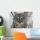 Great Gray Owl up Wall Mural