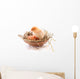 Chicken and Egg Nest Wall Decal