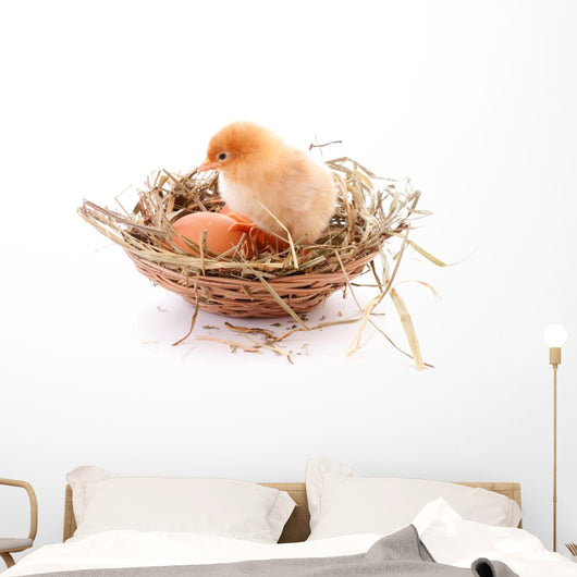 Chicken and egg in nest Wall Decal