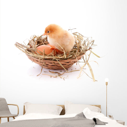 Chicken and egg in nest Wall Decal