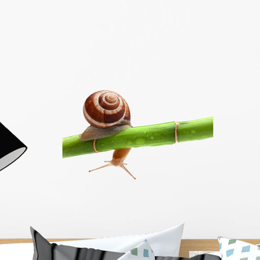 Insect Decals - Snail Crawling on Bamboo Wall Decal