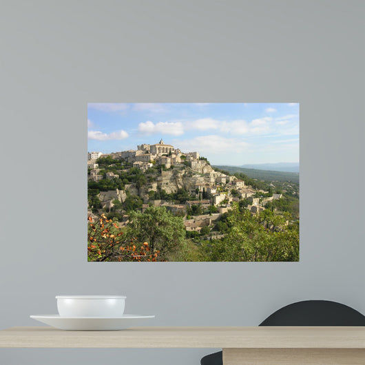 Village in France Wall Mural