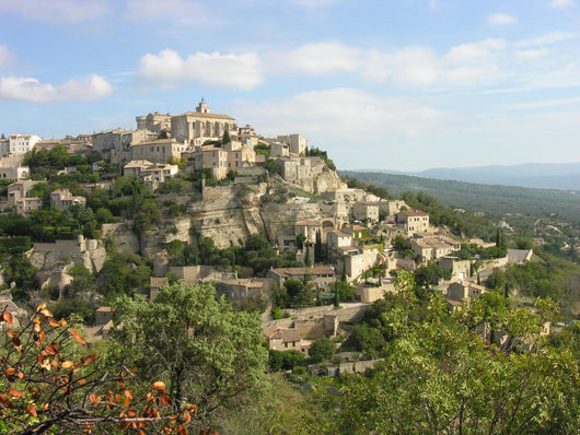 Village in France Wall Mural
