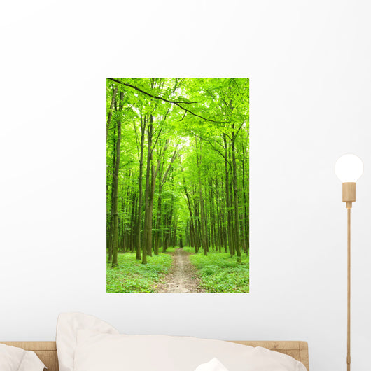 Path Wall Mural