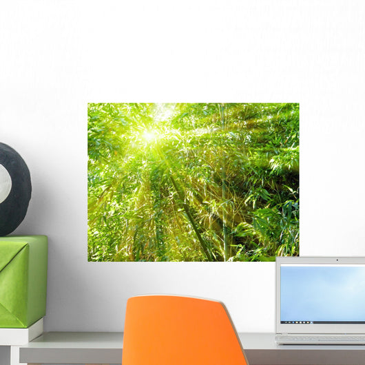 bamboo with rays of light Wall Mural