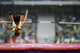 Jump Athletics Wall Mural