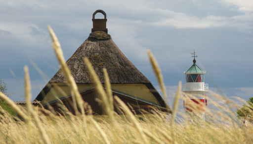 Aro Coast Wall Decal