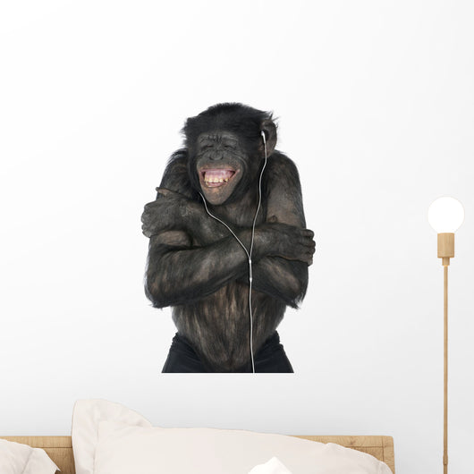 Monkey Listening Music Wall Decal