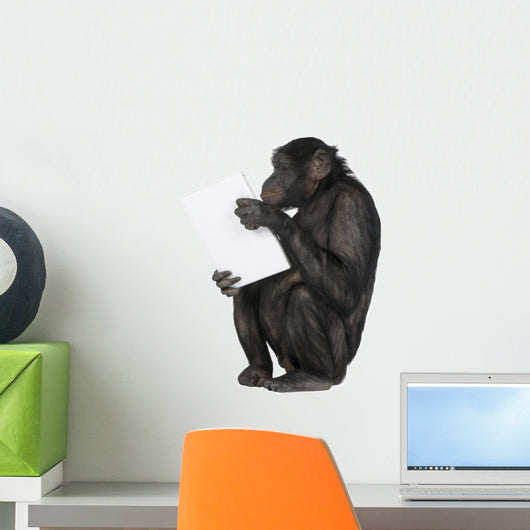 Monkey playing with a laptop Wall Decal