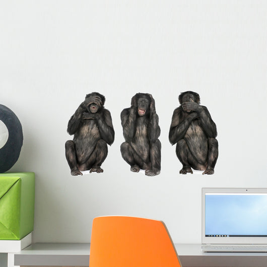 Three Wise Monkeys Wall Decal