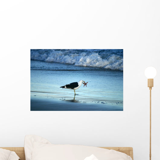 Seagul Holding Starfish It's Wall Mural