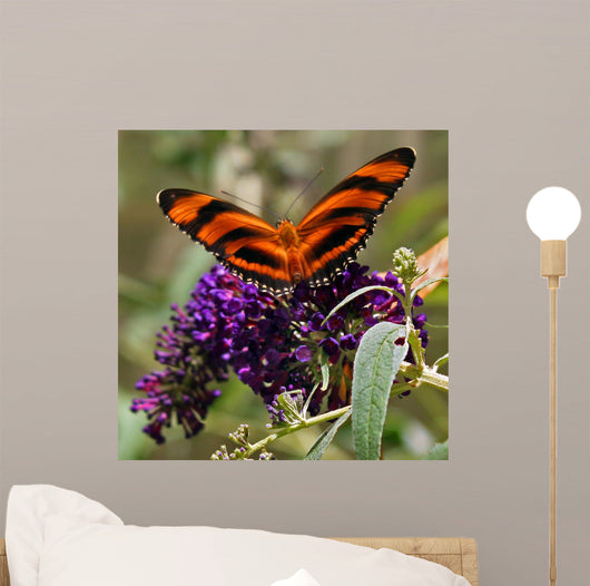 Striped Butterfly Wall Mural
