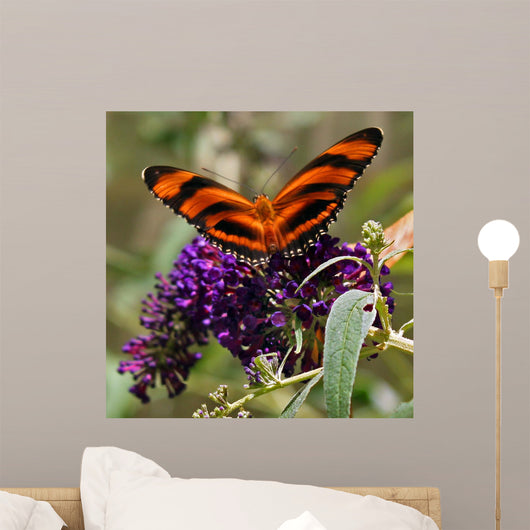 Striped Butterfly Wall Mural