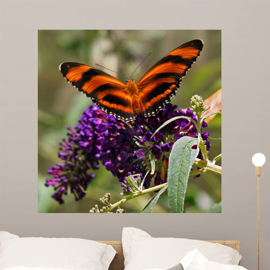 Striped Butterfly Wall Mural