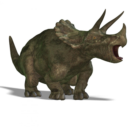 Dinosaur Triceratops Wall Decal