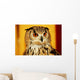 OWL Wall Mural