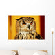 OWL Wall Mural