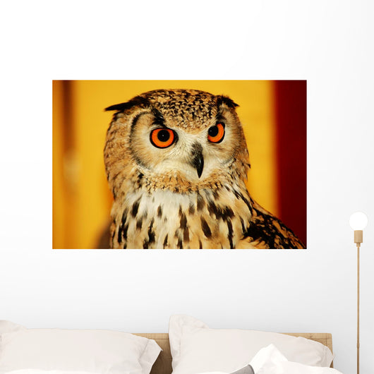 OWL Wall Mural