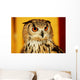 OWL Wall Mural
