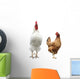 Funny Hen and Rooster Wall Mural