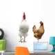 Funny Hen and Rooster Wall Mural
