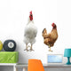 Funny Hen and Rooster Wall Mural