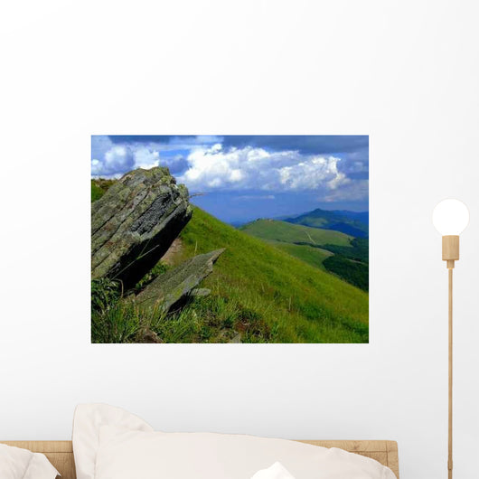 Trail Wall Decal Design 4