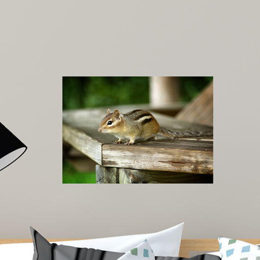 Chipmunk Wall Mural