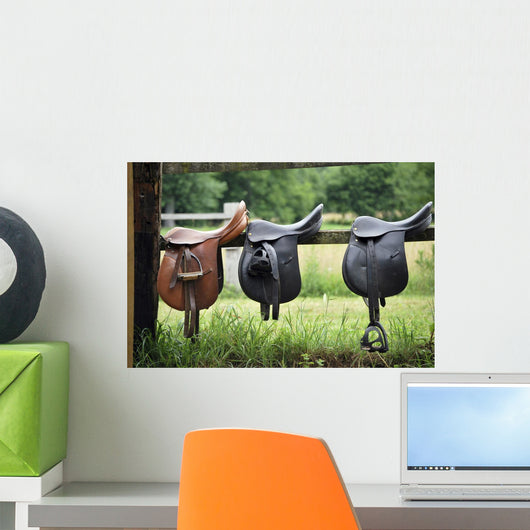 Saddles Wall Mural