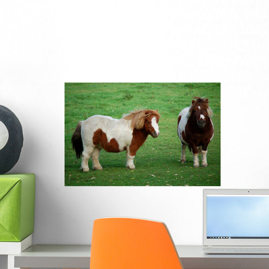 Zwei Ponys Auf Einer Wall Mural