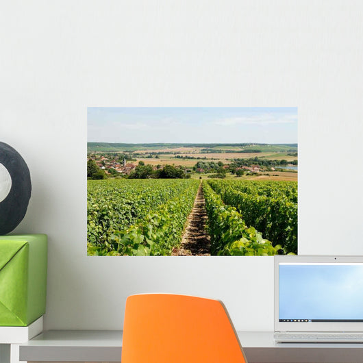 Vineyards Wall Decal