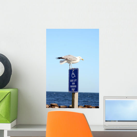 Seagull Landing Wall Mural
