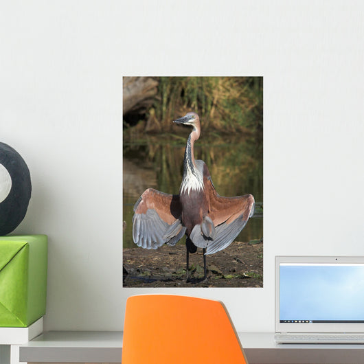 Goliath Heron Wall Mural