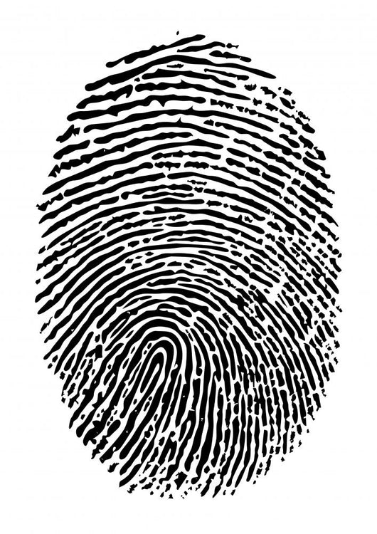 Fingerprint Vector Wall Decal