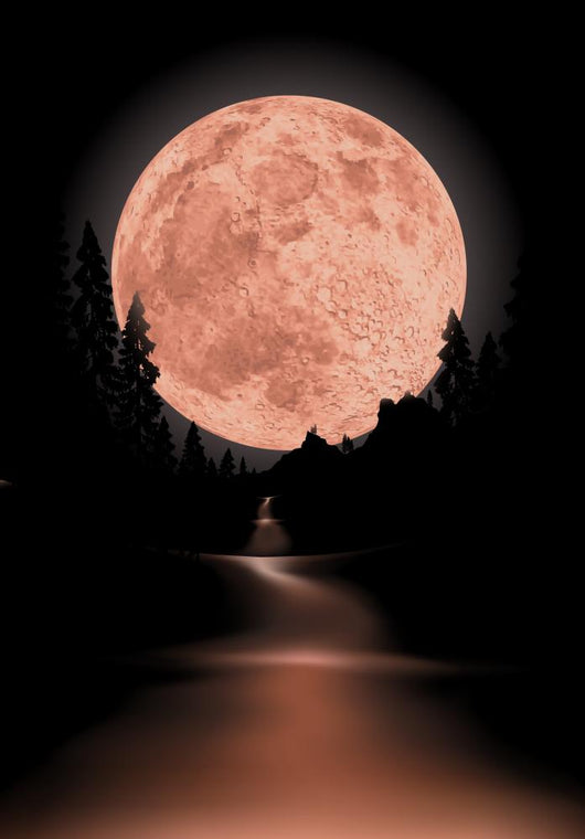 way to red fullmoon Wall Mural