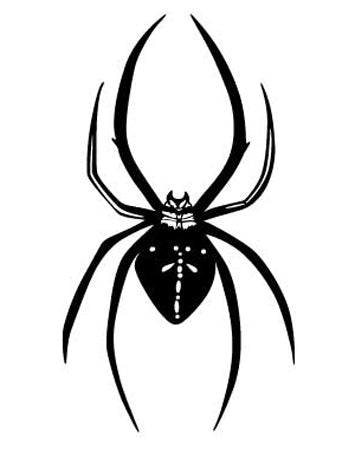 Spider Wall Decal