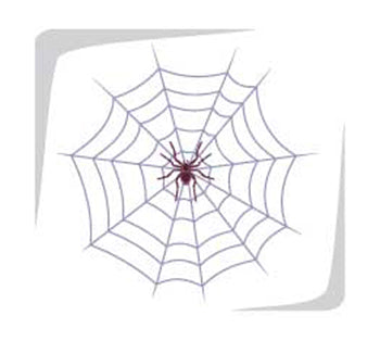 Spider Web Wall Decal