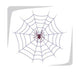 Spider Web Wall Decal