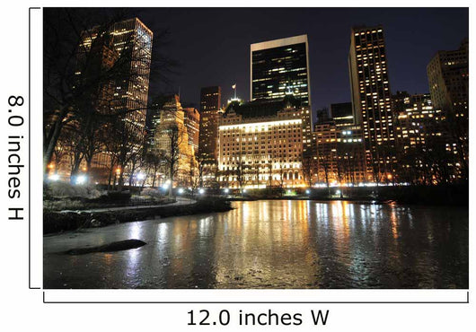 Central Park at night Wall Mural
