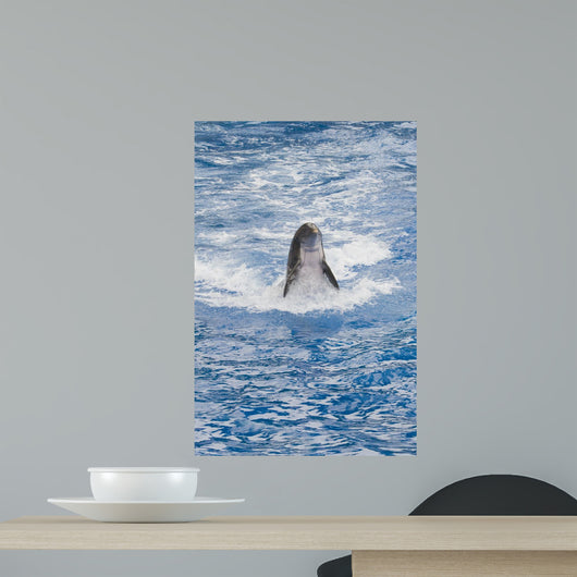 Bottlenose Dolphin Wall Mural
