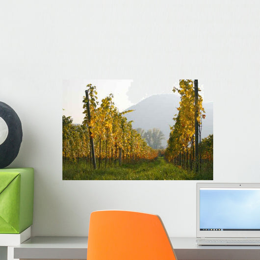 Rows Vines Vineyard Austria Wall Decal