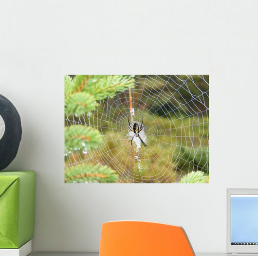 Spider's Web Wall Decal