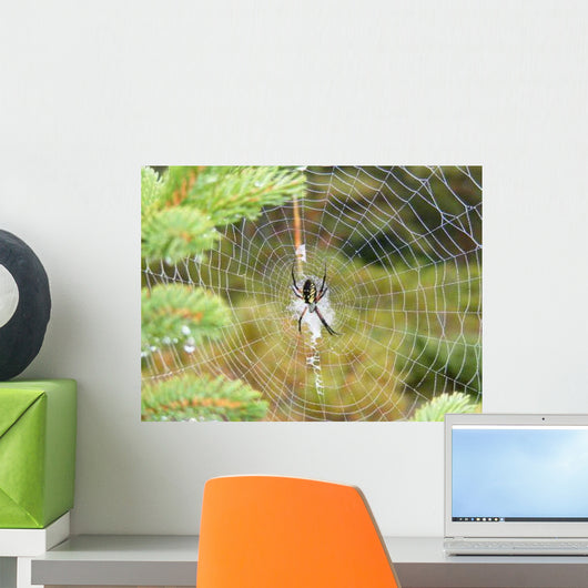 Spider's Web Wall Decal