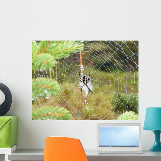 Spider's Web Wall Decal