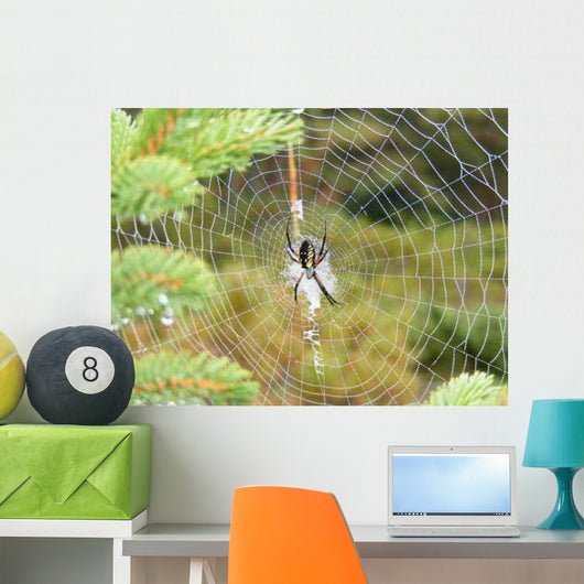Spider's Web Wall Decal